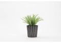 212171 Frosted Sprengeri in Oval Rippled Ceramic Planter