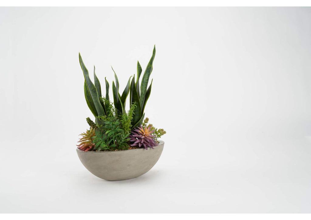 212178 Green Mother - in - Law'S Tongue With Assorted Succulents in Oval Cement Bowl