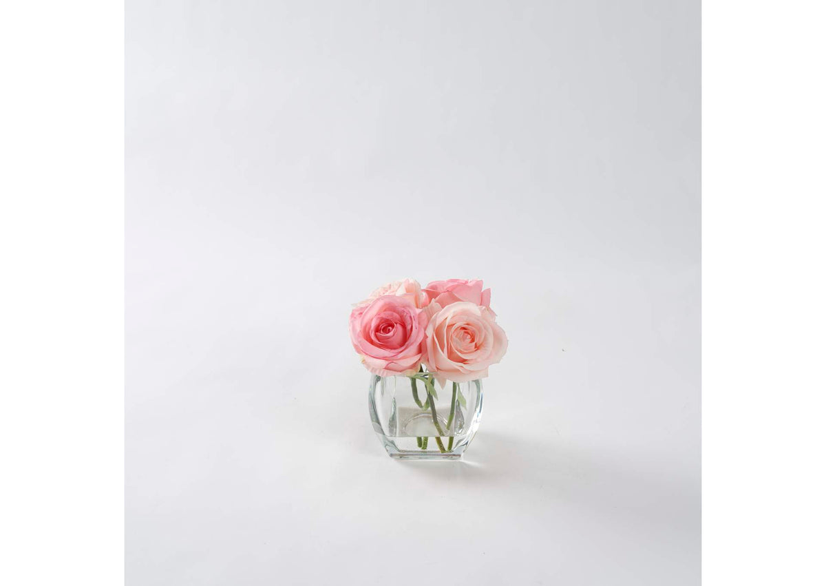 212196 Light and Dark Pink Roses in Glass Cube