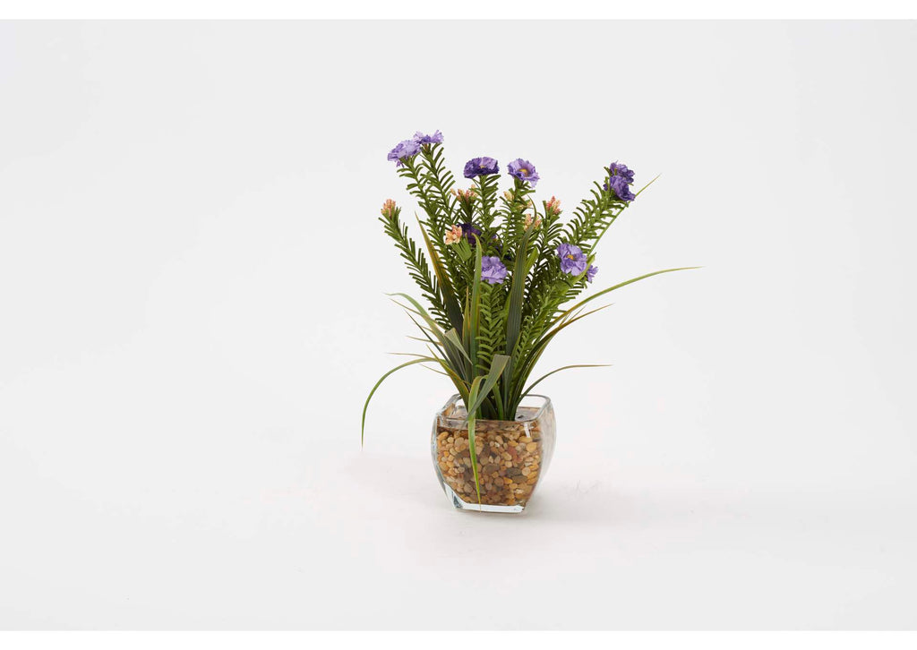 212242 Purple Wild Flowers in Glass Cube