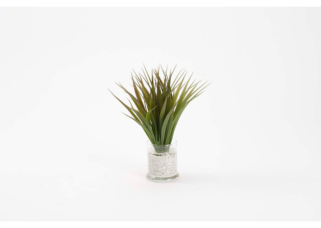 212250 Wild Grass in Glass Candle Jar