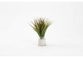 212250 Wild Grass in Glass Candle Jar