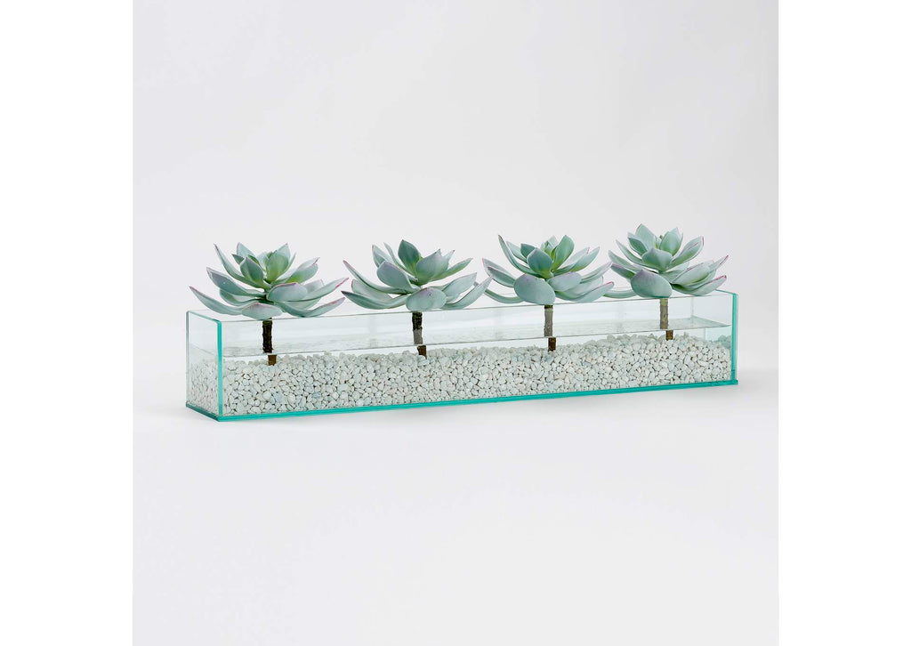 212269 Frosted Succulents in Rectangle Aquarium Glass