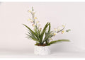 217015 White Orchids With Foliage in Round White Marbled Ceramic Planter