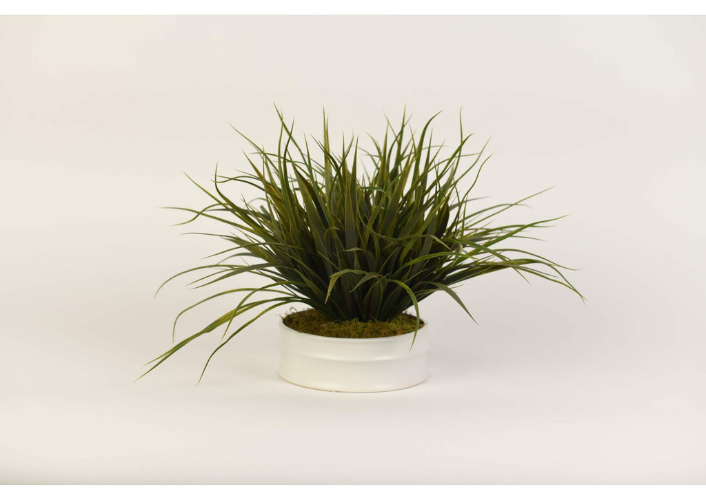 217076 Green Grass in Medium Matte White Ceramic Planter
