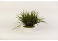 217076 Green Grass in Medium Matte White Ceramic Planter