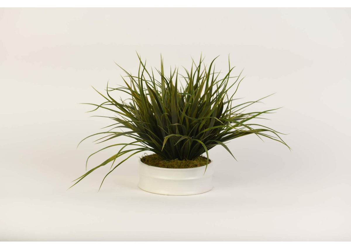 217076 Green Grass in Medium Matte White Ceramic Planter