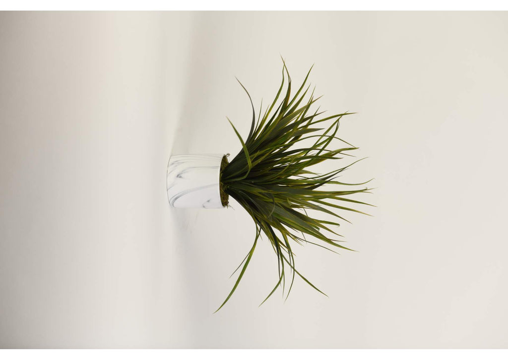 217077 Green Grass in Medium Round Marbled Ceramic Planter