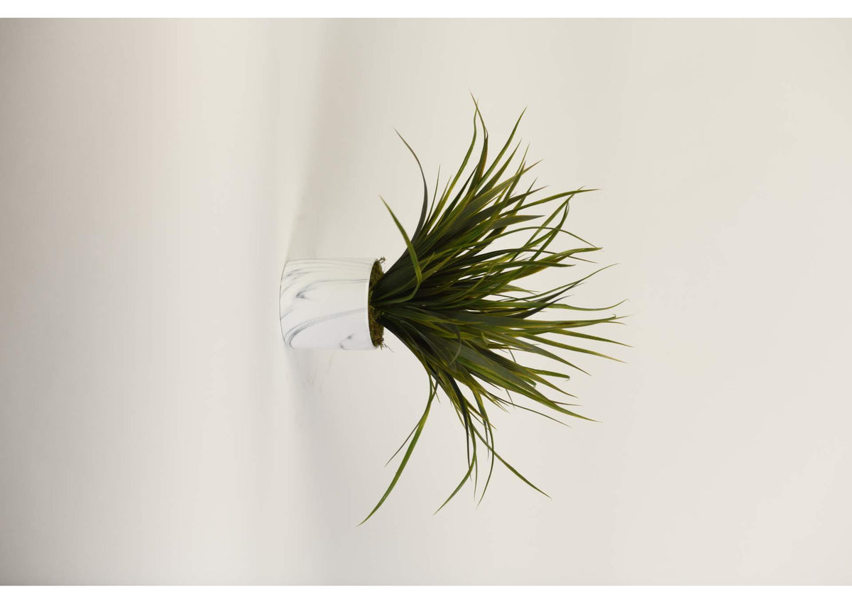217077 Green Grass in Medium Round Marbled Ceramic Planter