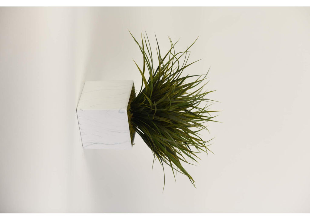217079 Green Grass in Large Square Marbled Ceramic Planter
