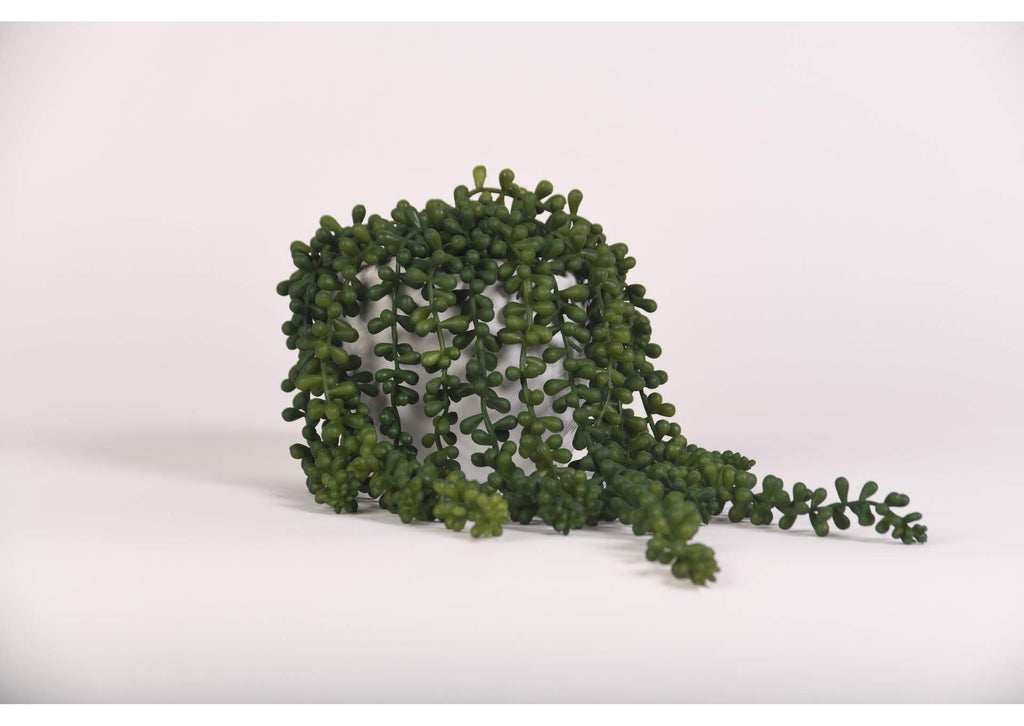 219008 Sedum Spray in Round White Ceramic Planter