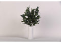 219009 Grey - Green Eucalyptus in Tall Round Marble Vase