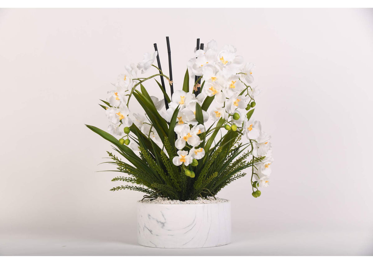219016 Cream Vanda Orchids With Heather Fern in Marble Ceramic Bowl