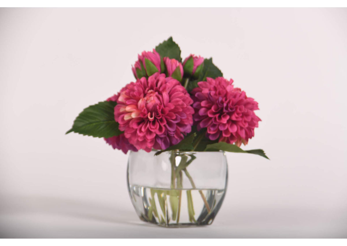 219019 Burgundy Dahlia in Glass Cube