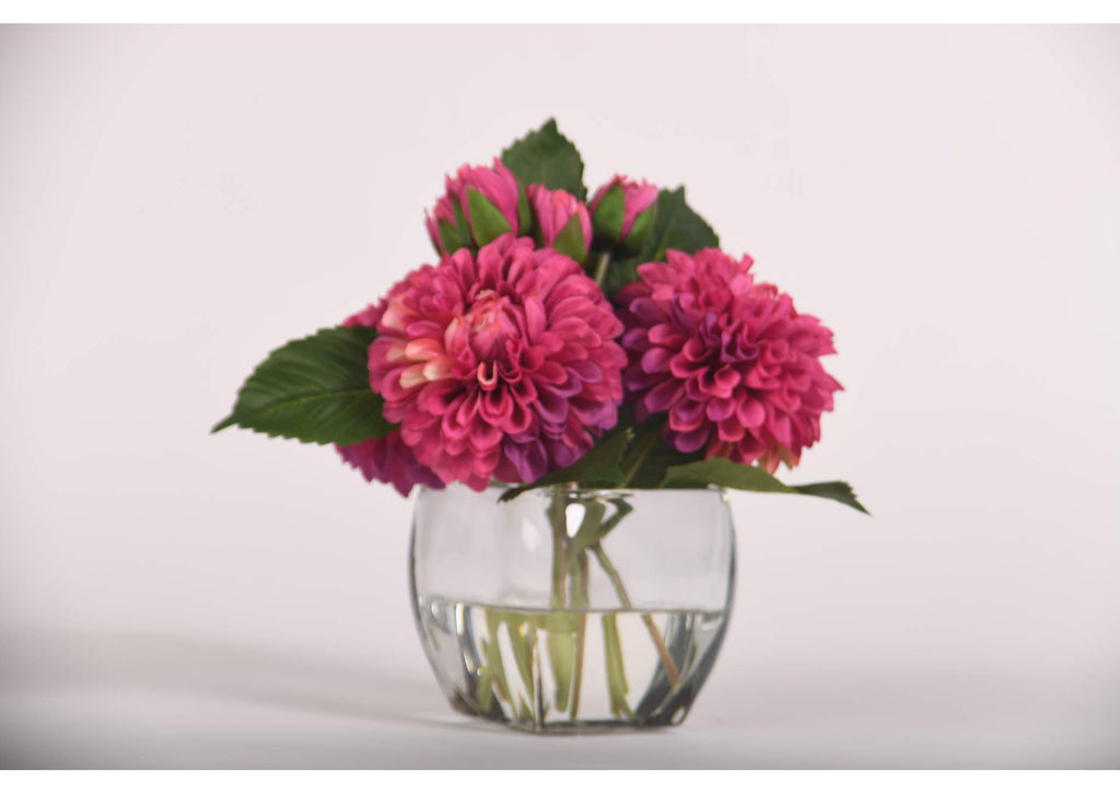 219019 Burgundy Dahlia in Glass Cube