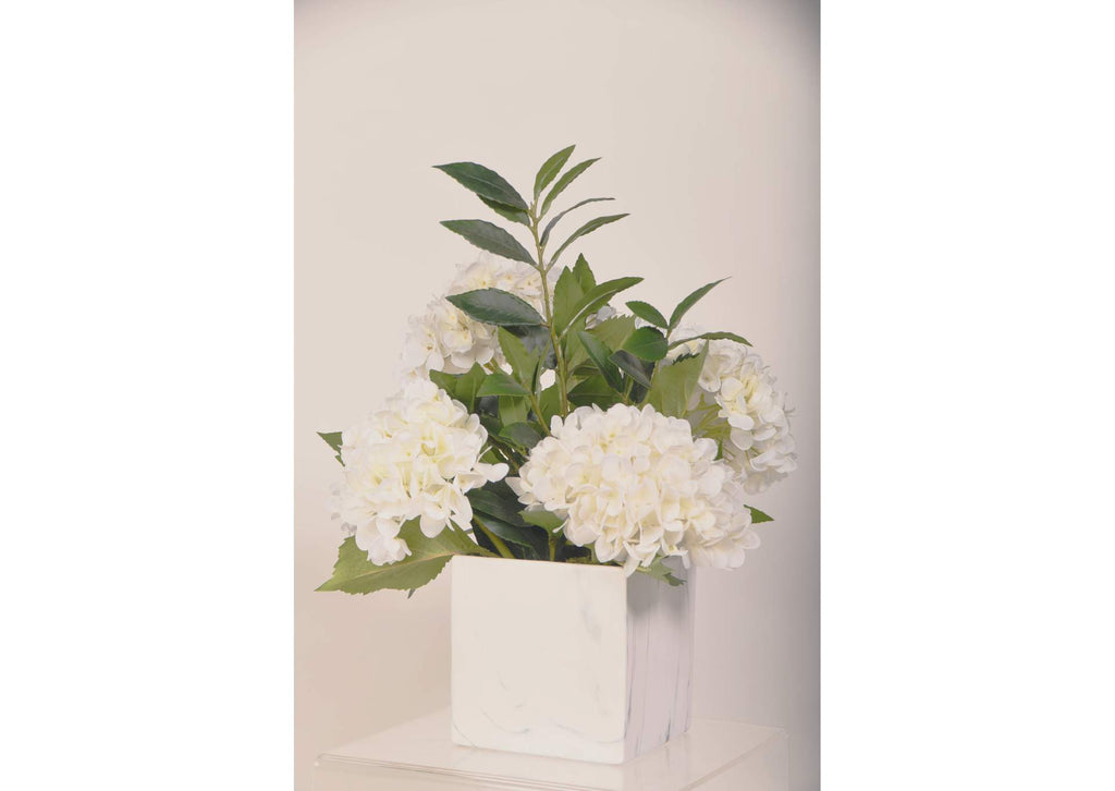 219051 White Hydrangeas in Square Marble Planter