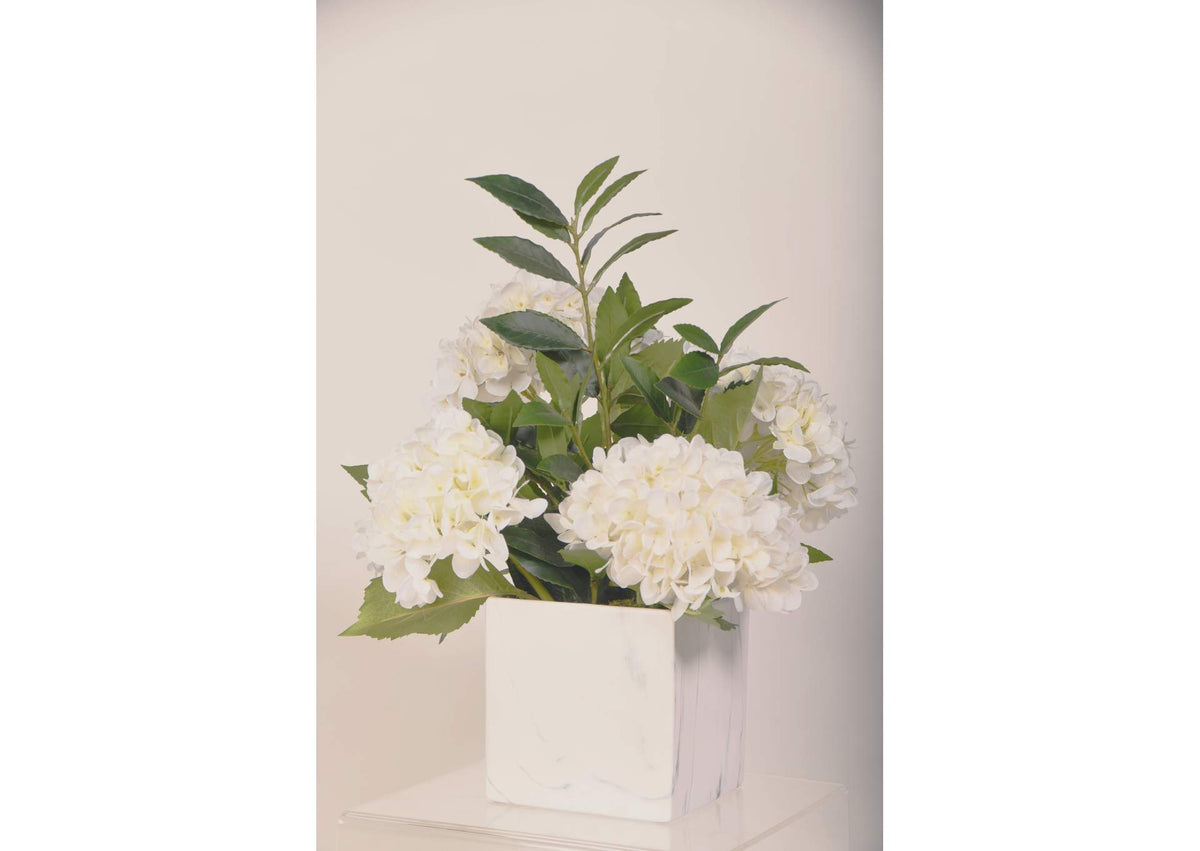 219051 White Hydrangeas in Square Marble Planter