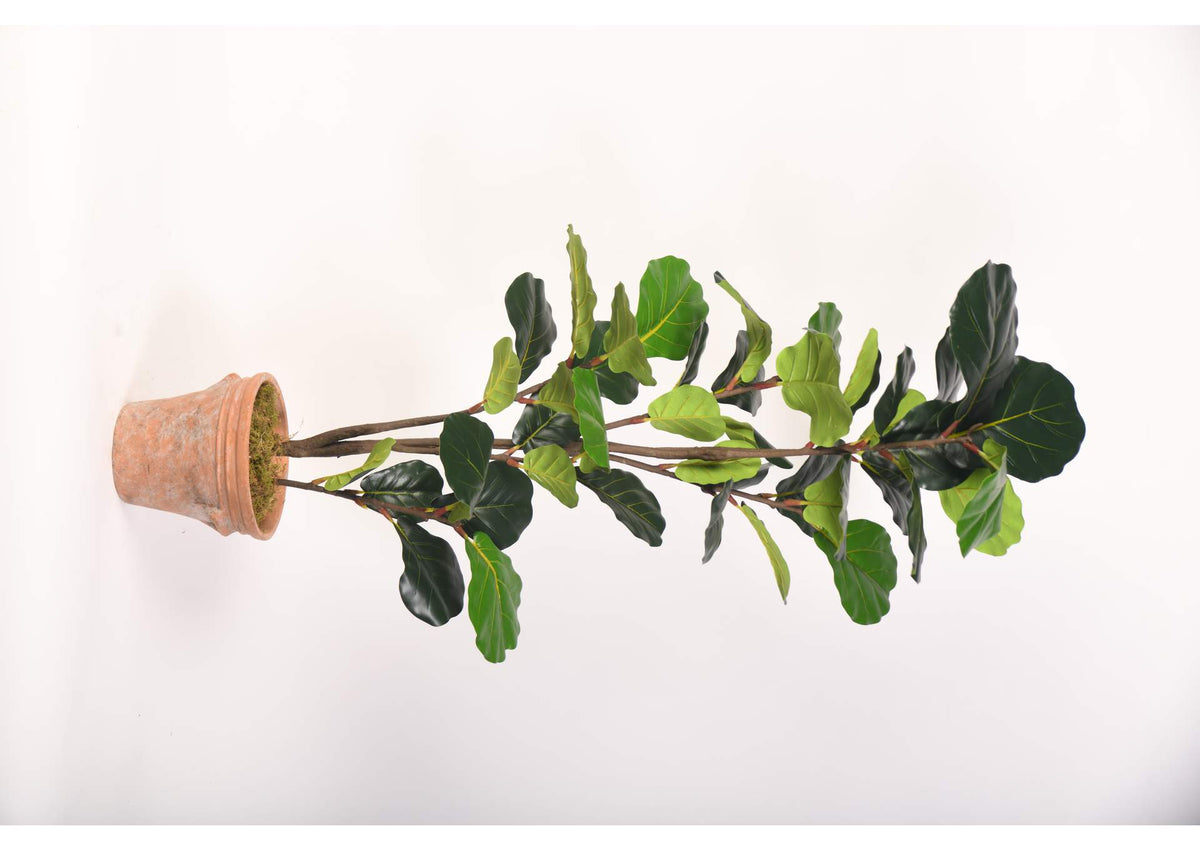 21PV311 48" Fiddle Leaf Fig Tree in Terra Cotta Planter