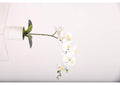 221001 White Phael Orchid in Marble Ceramic Cylinder