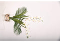 221011 Cream Cymbidium Orchids in Glass Vase