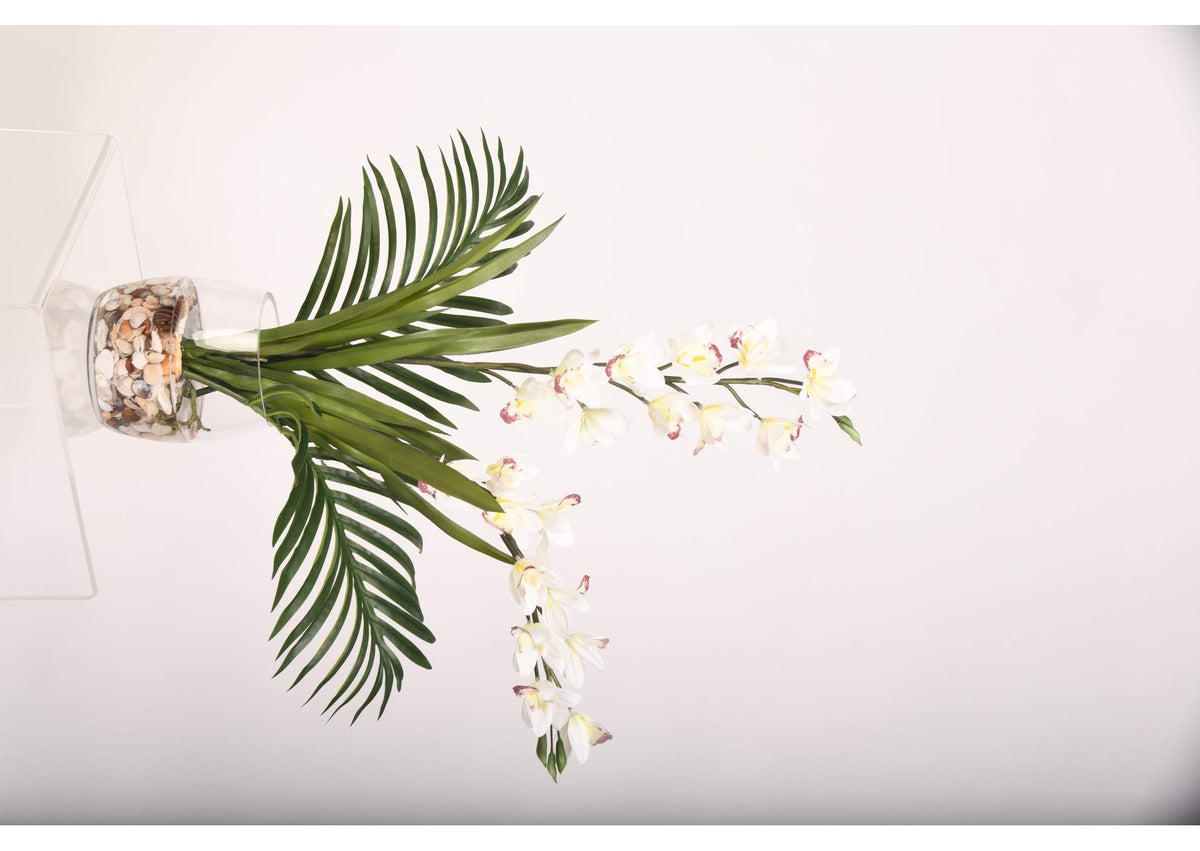221011 Cream Cymbidium Orchids in Glass Vase