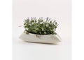 221025 Lavender and Eucalyptus in Light Tan Wood Log