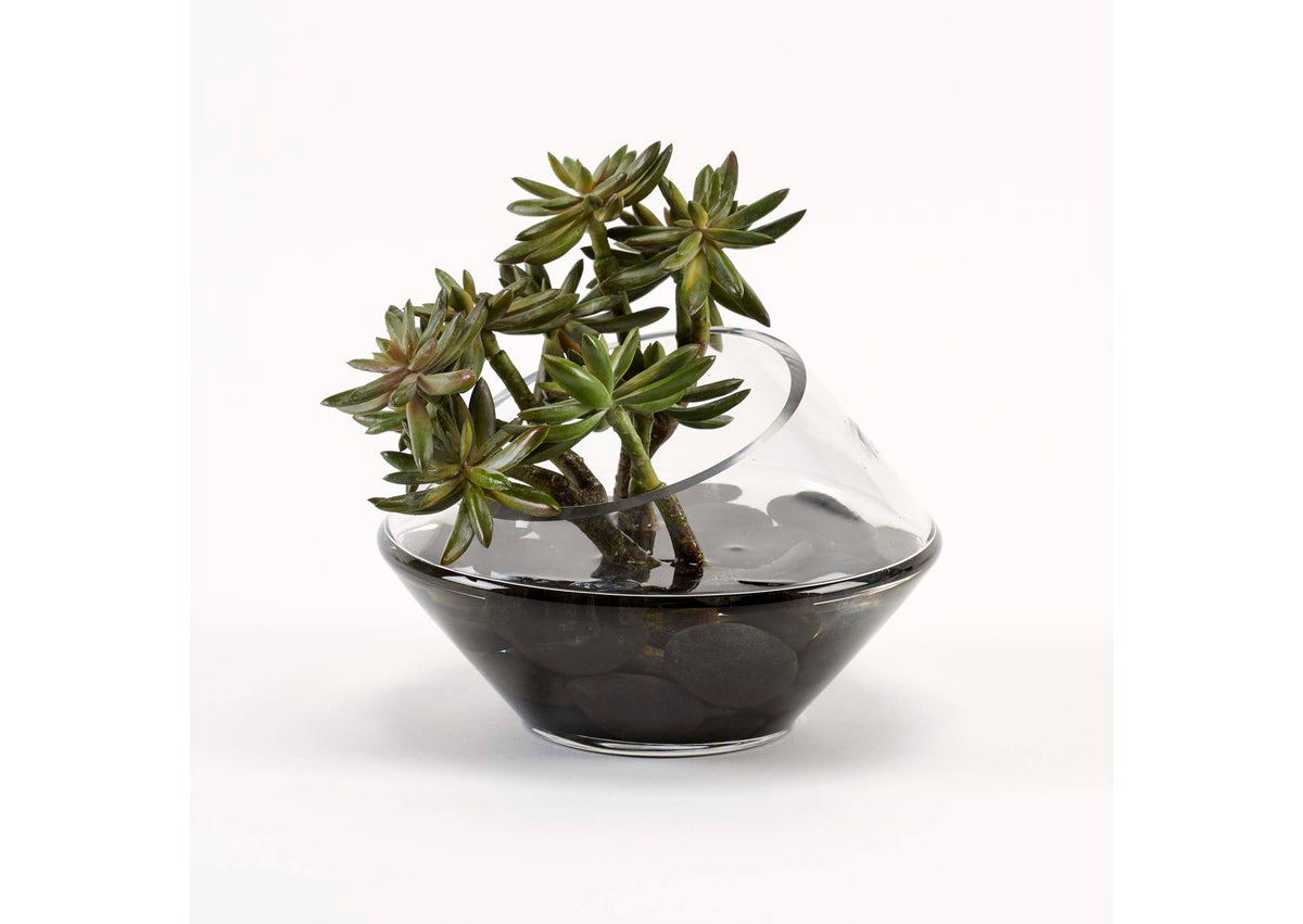 221038 Succulent Branch in Angle Cut Glass