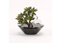 221038 Succulent Branch in Angle Cut Glass