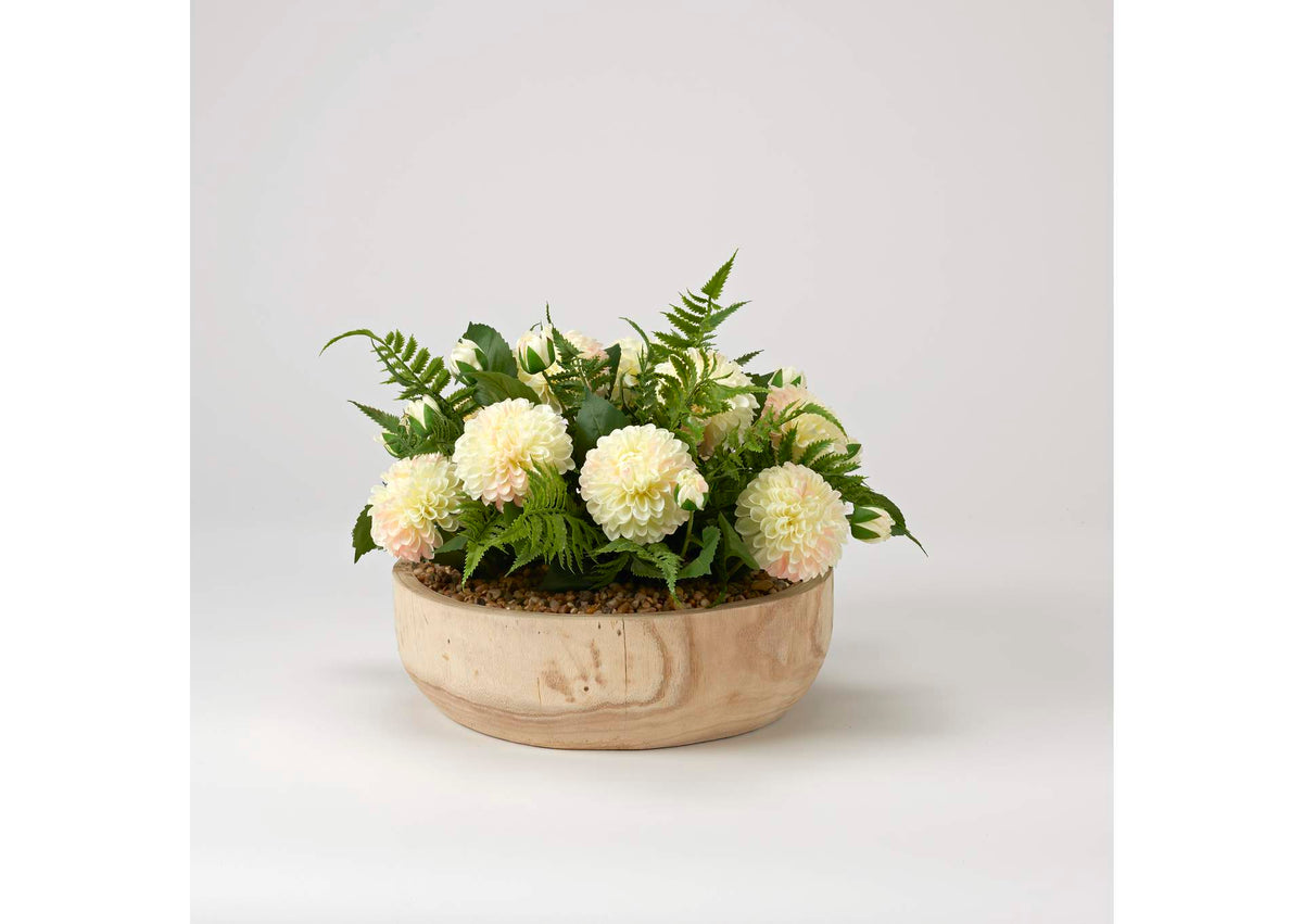 224008 Cream Dahlias With Leather Fern in Wooden Bowl