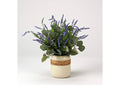 224016 Lavender and Eucalyptus in Glazed Ceramic Planter