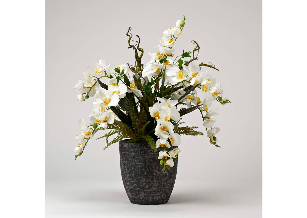 224020 White Natural Touch Phael Orchids With Foliage in Round Black Resin Planter