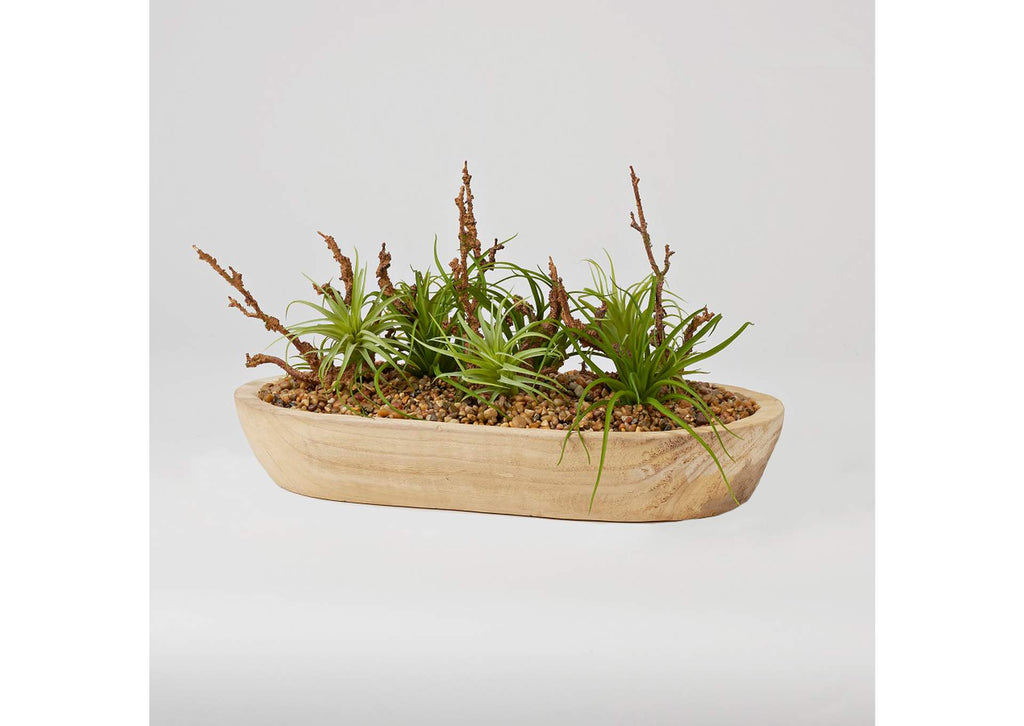 224027 Tillandsia With Branches in Oblong Wooden Bowl
