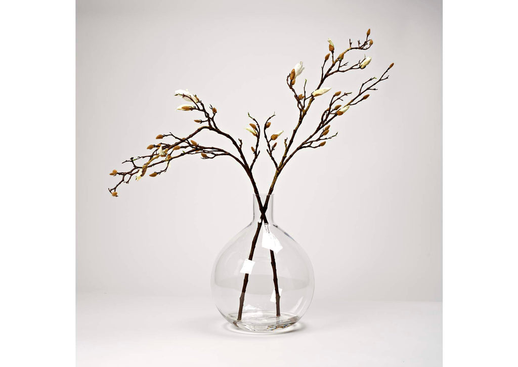 224036 Budding Magnolia Branches in Glass Vase