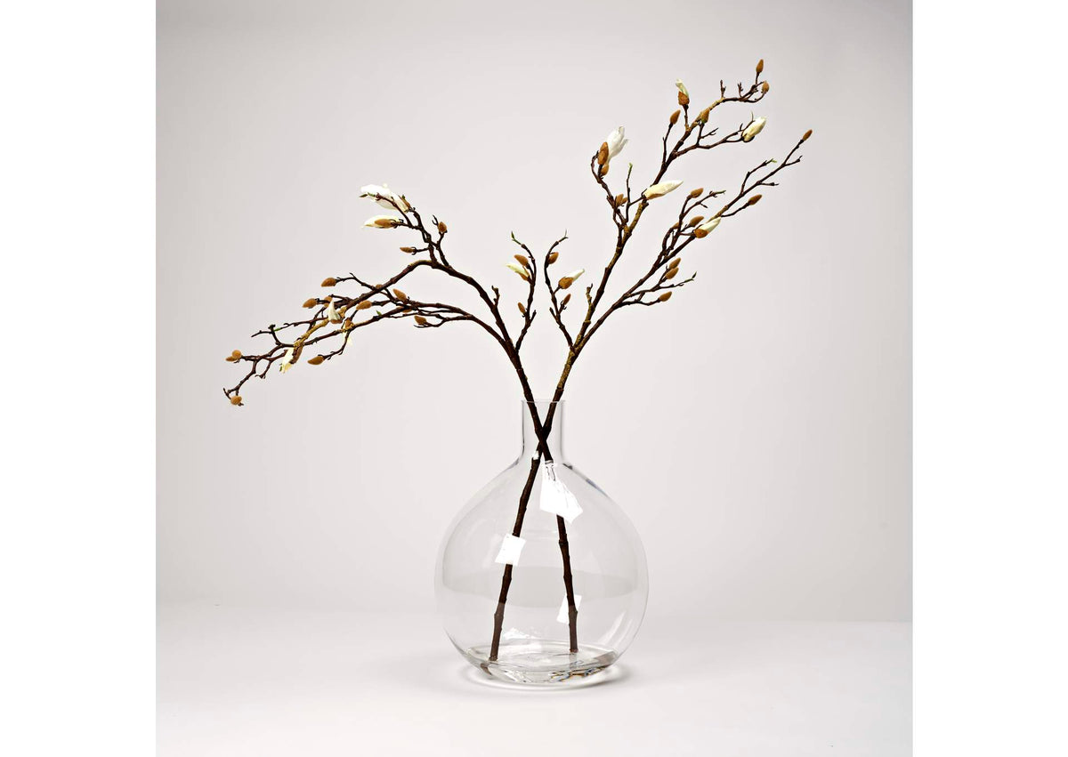 224036 Budding Magnolia Branches in Glass Vase