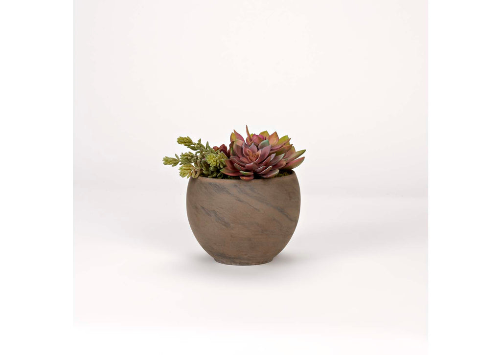 225053 Assorted Echeveria & Succulents in Round Brown Marble Planter