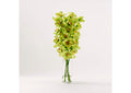 226002 Grn - Burg Cymbidium Orchids in Glass Cylinder