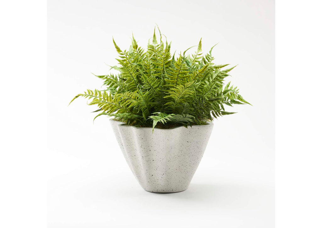 227017 Leather Fern in Grey Living Planter