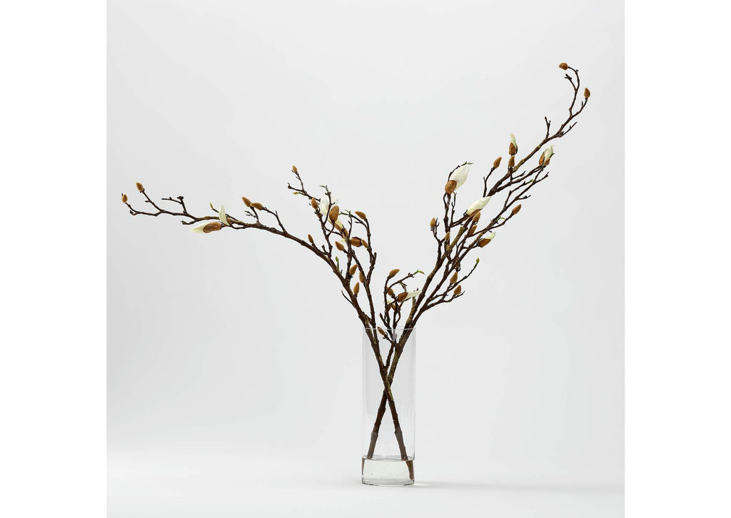 229001 Magnolia Stems in Glass Cylinder