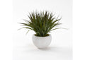 229003 Plastic Grass in Small White Cermaic Bowl