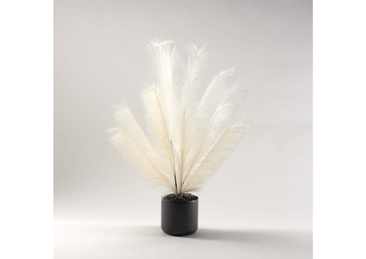 229032 Two Tone Cream Plume Spray in Medium Matte Kendall Pot