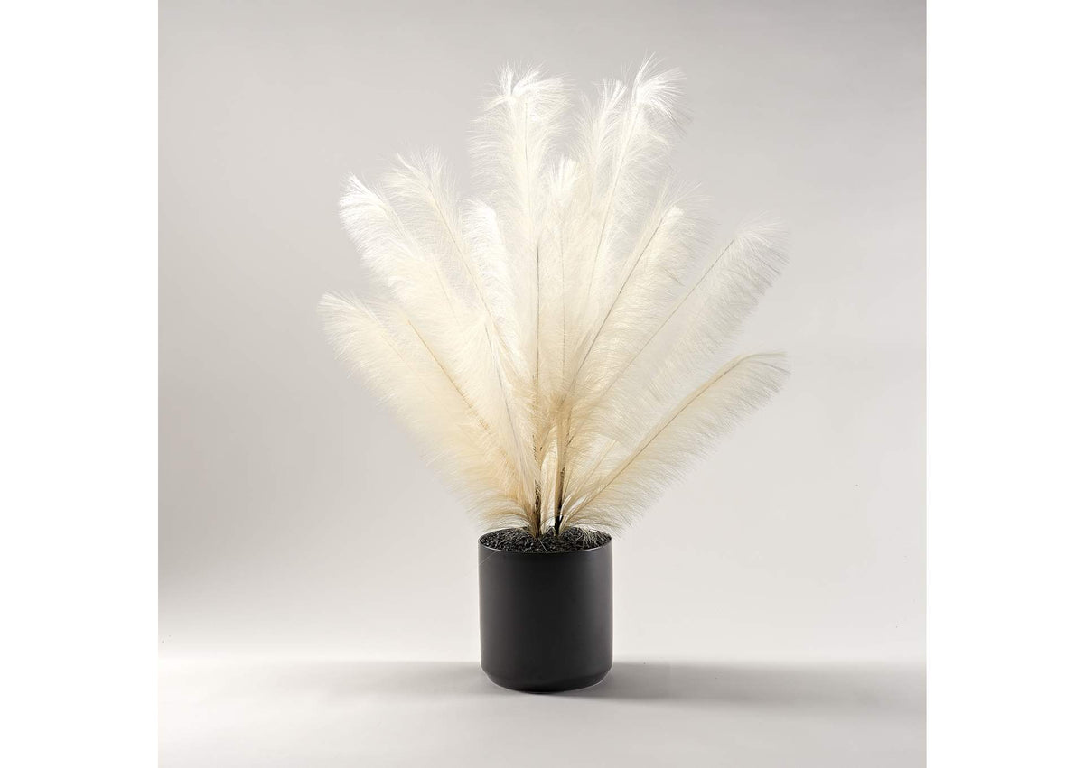 229033 Two Tone Cream Plume Spray in Large Matte Kendall Pot