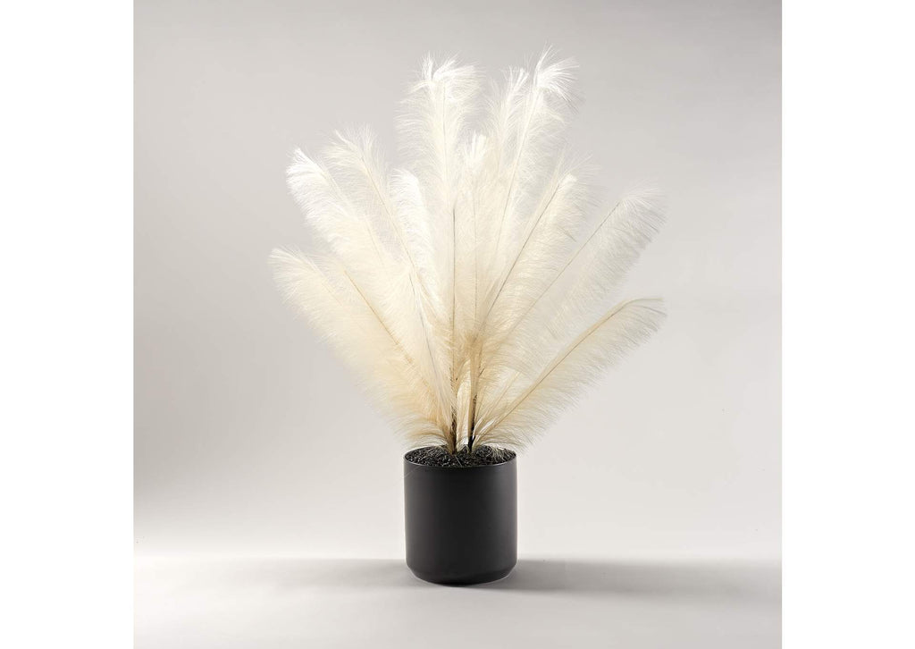 229033 Two Tone Cream Plume Spray in Large Matte Kendall Pot