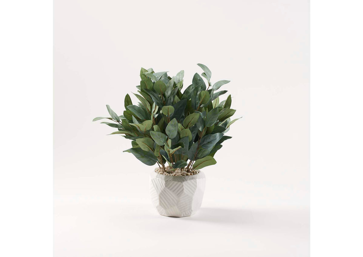 229037 Eucalyptus in Large White Geometric Ceramic