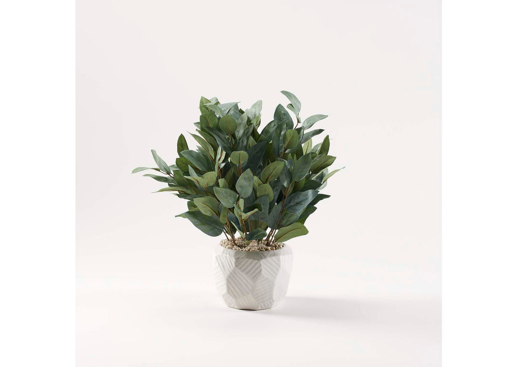 229037 Eucalyptus in Large White Geometric Ceramic