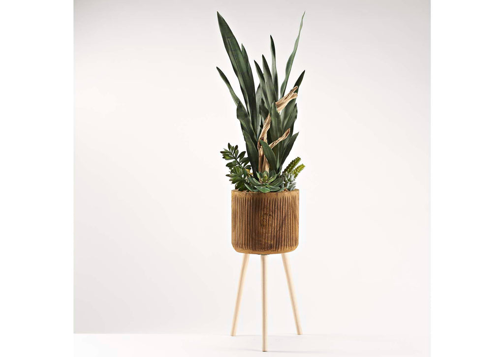 229048 Sansevieria,Succulents,& Ghostwood in Wooden Bowl With Legs