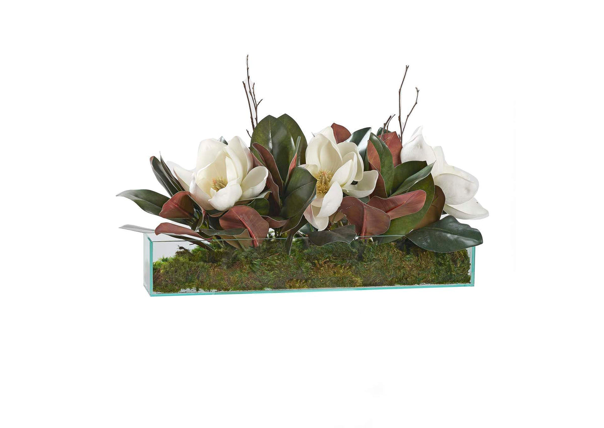 231011 Magnolias and Birch Tops in Rectangle Aquarium Glass