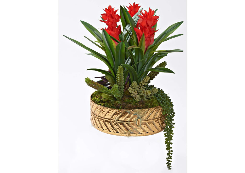 231019 Bromeliads & Succulents in Gold Leaf Planter