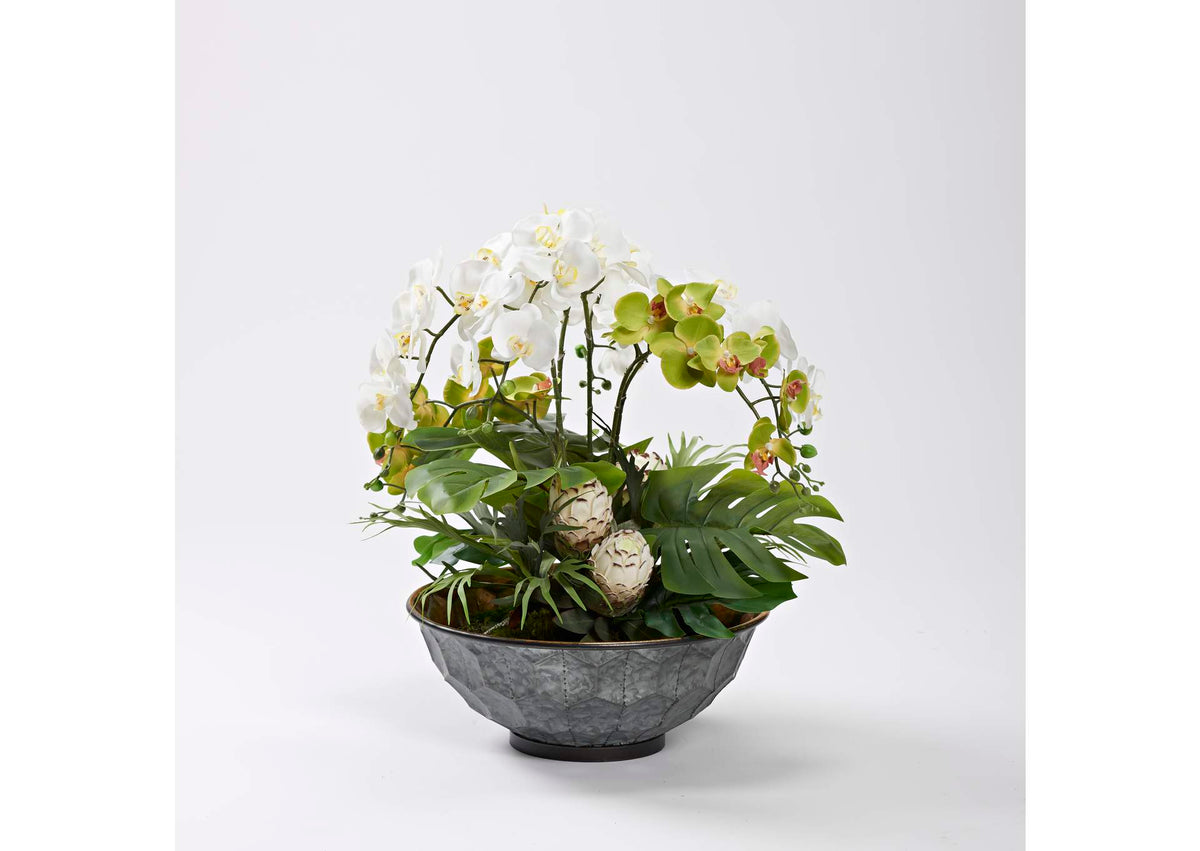 231032 Orchids,Proteas,and Philo Leaves in Hexagon Plated Planter