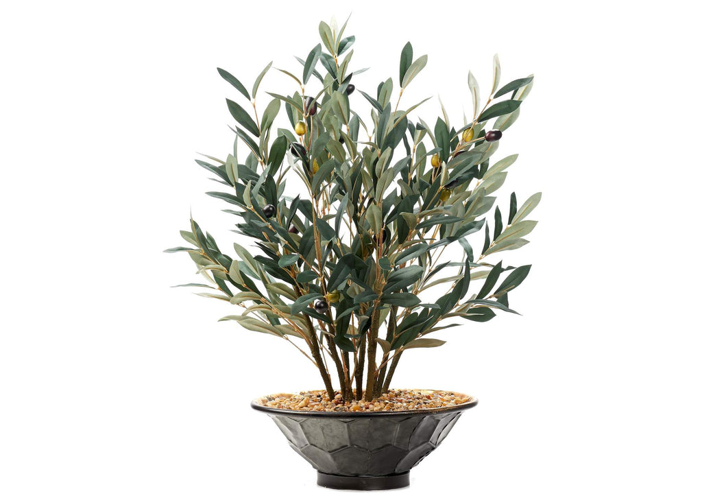 236015 Olive Spray in Hex Plated Bowl