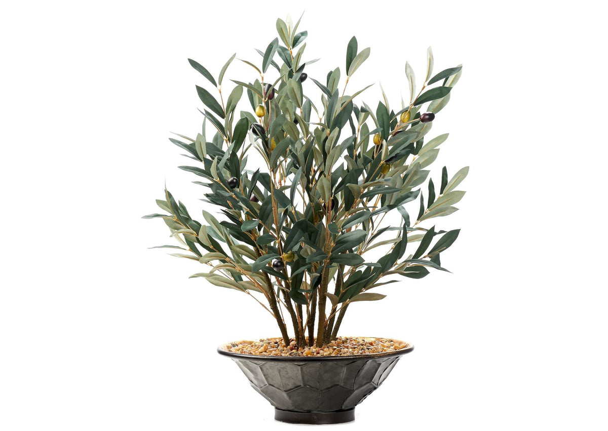 236015 Olive Spray in Hex Plated Bowl